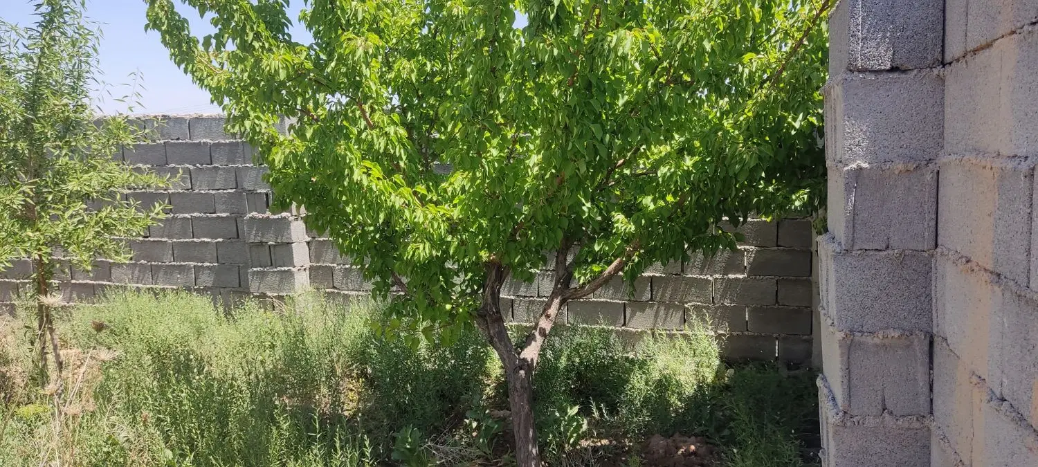 باغ‌باغستان‌فردوسی‌