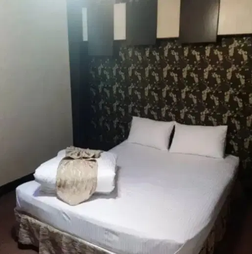 هم خونه خانم بی حاشیه