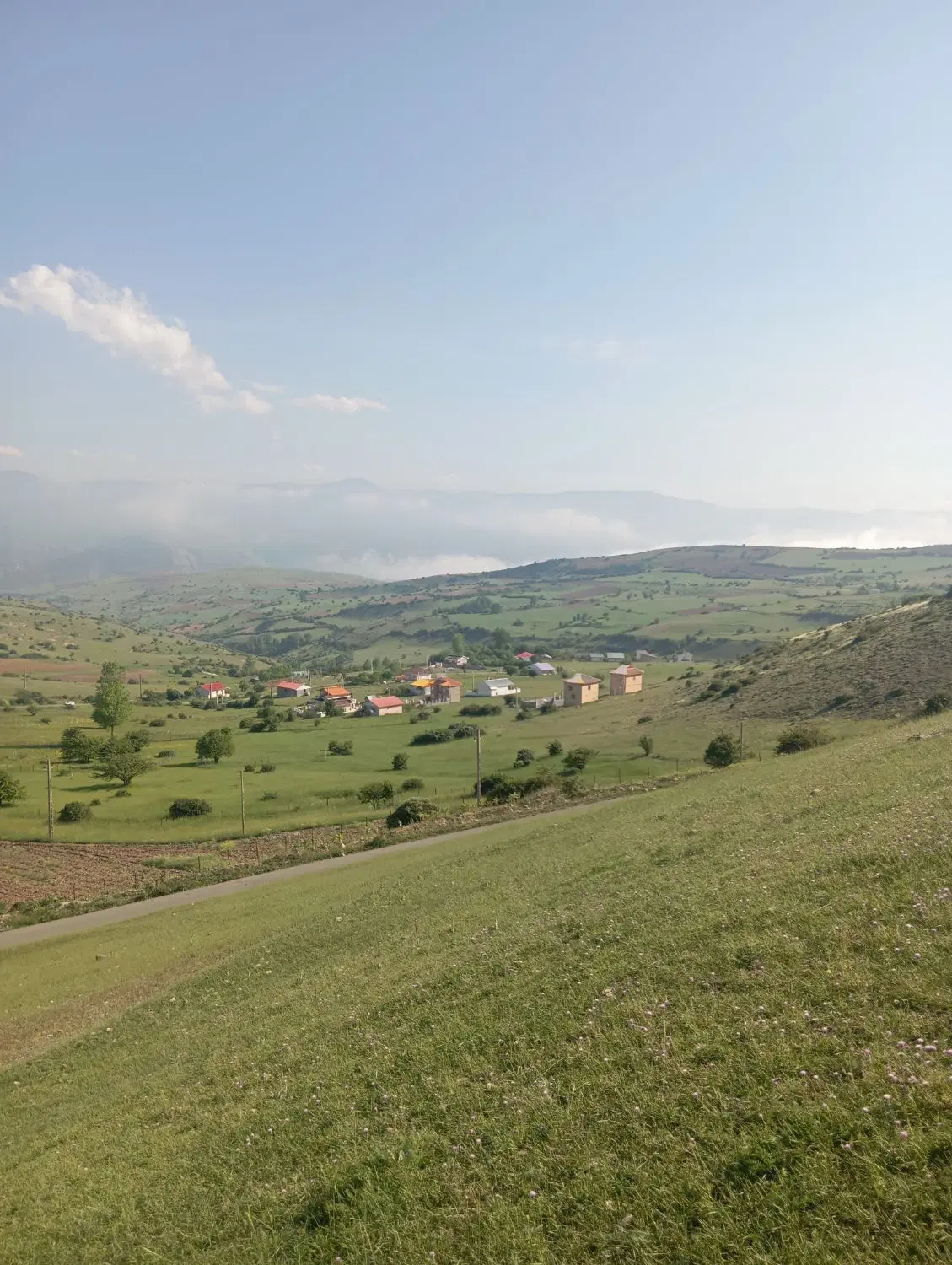زمین باغی