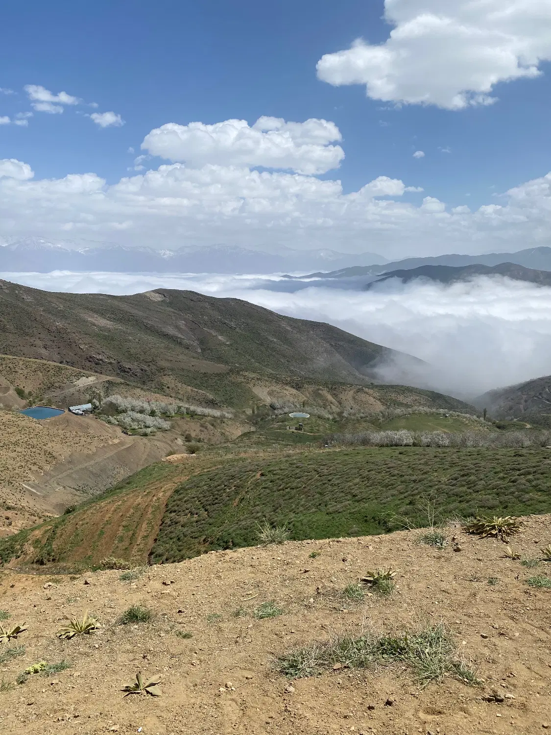 زمین کشاورزی