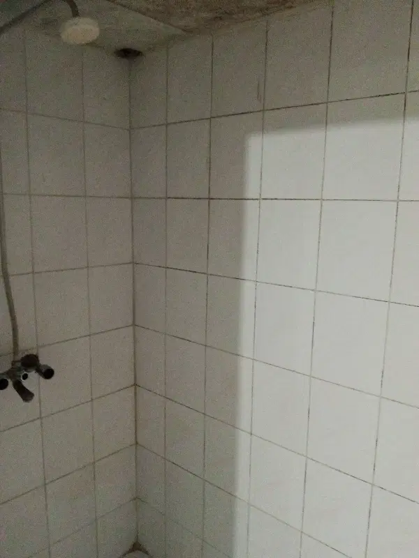 اجاره آپارتمان