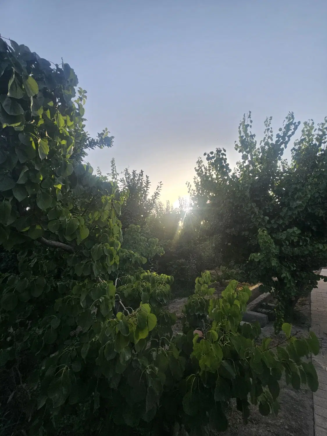 باغ ویلا ۹۰۰ متری با بنای قدیمی