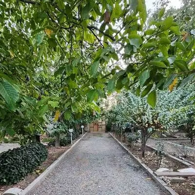 ۴۸۰متر باغچه