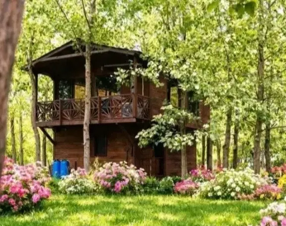 بهترین گزینه برای سرمایه گذاری
