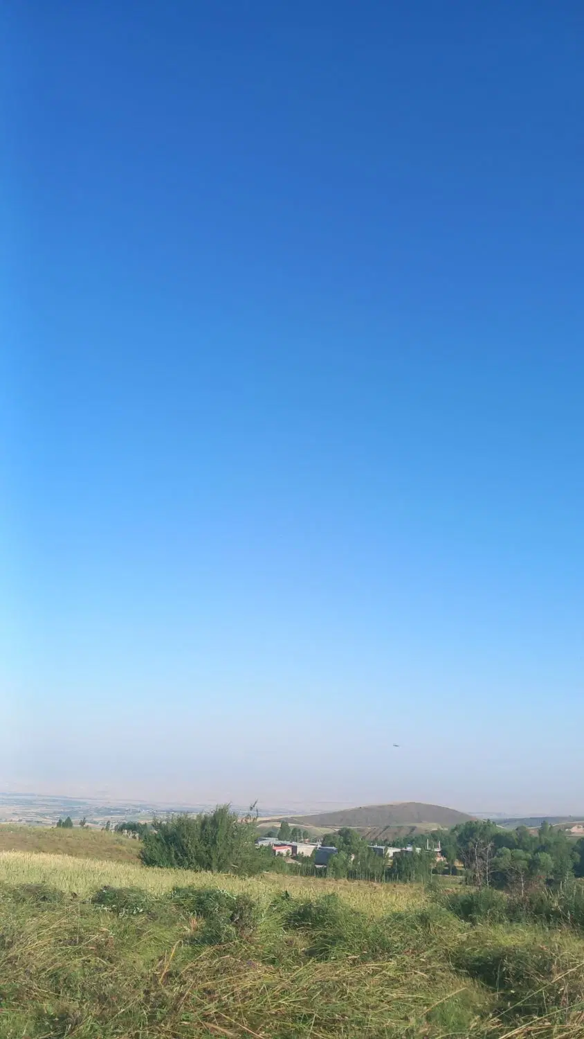 زمین