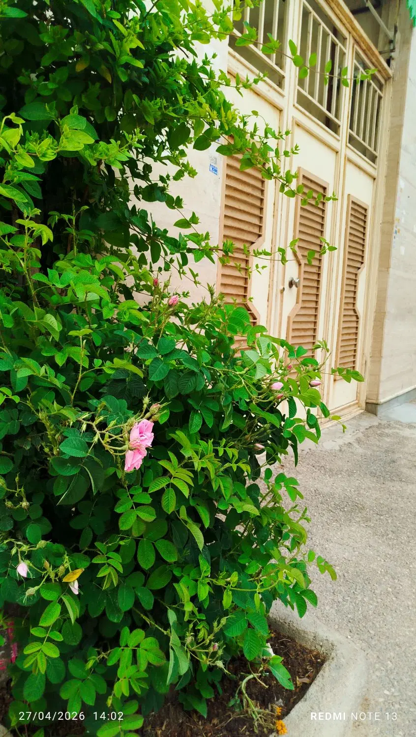 مغازه اجاره. شهربازی.رضوی