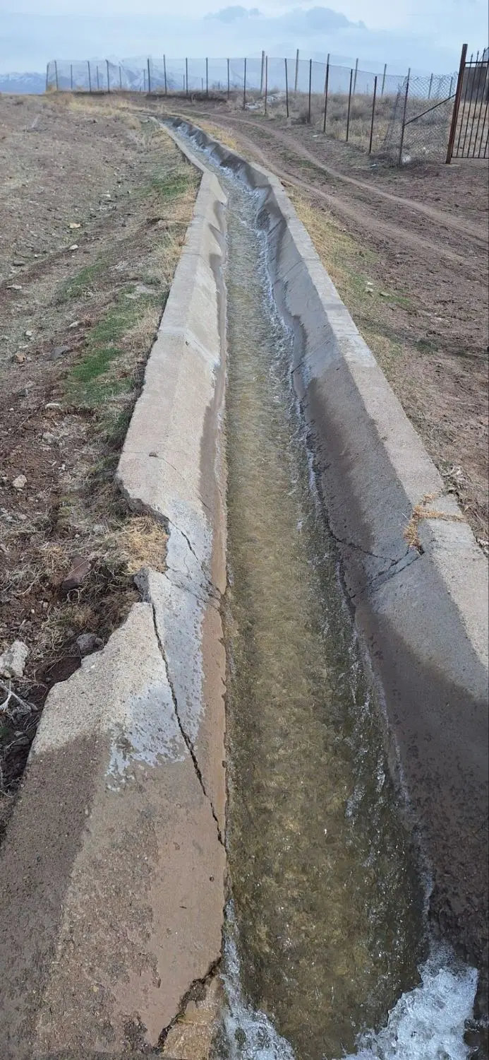 زمین باغی