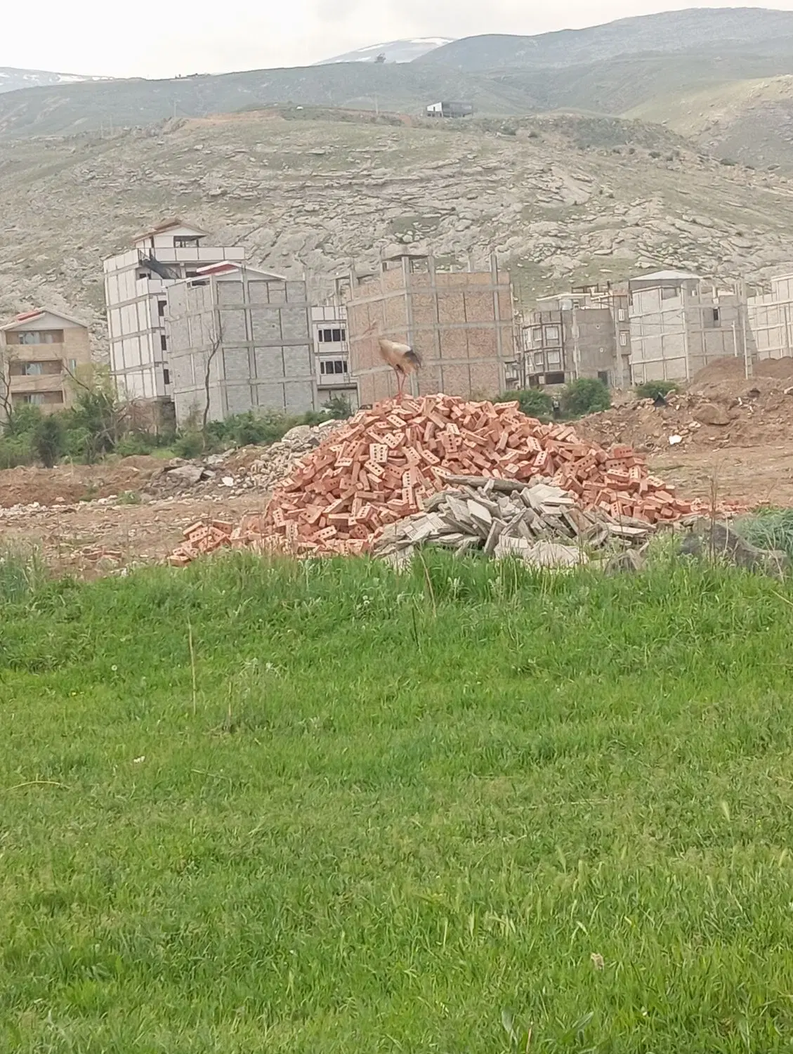 زمین مسکونی قولنامه