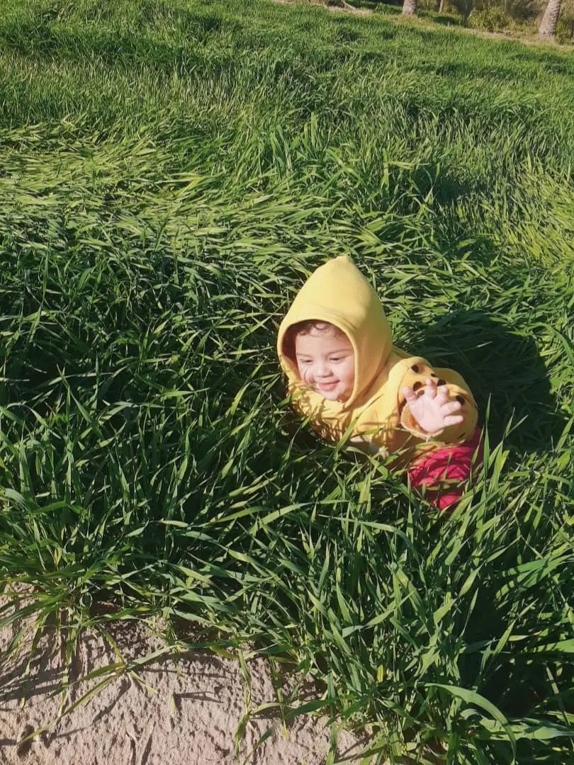 یک هکتار زمین جهت اجاره