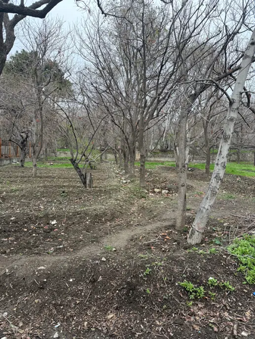 باغ ۶۵۰ متری  انتهای باکری شهران