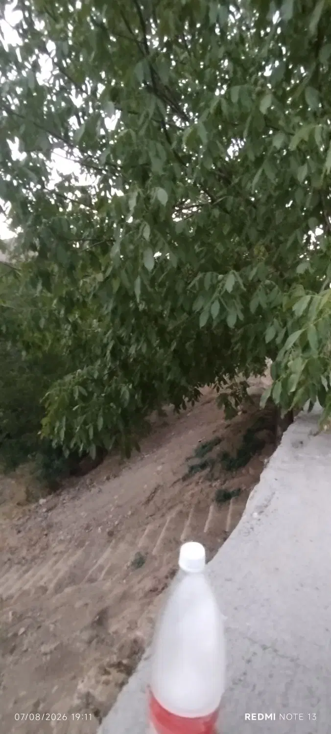 زمین باغ