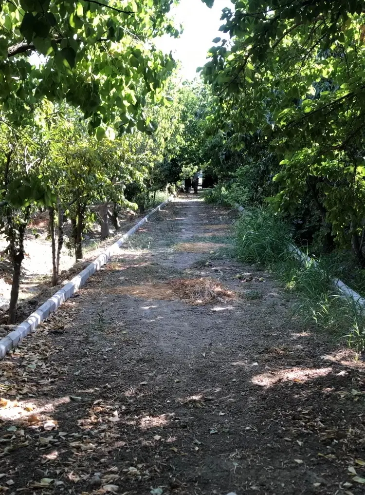 ۱۲۰۰ متر باغچه (با درختان ثمر ده)
