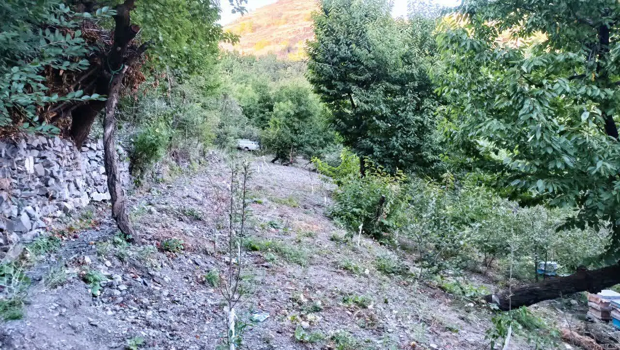 زمین باغی در در چشمه قلقلی زشک