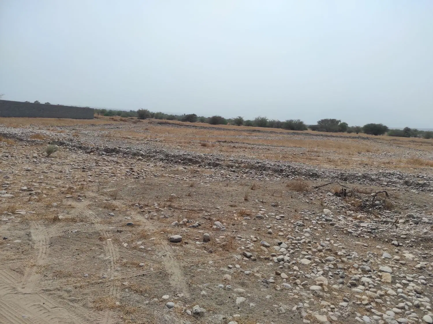 فروش زمین