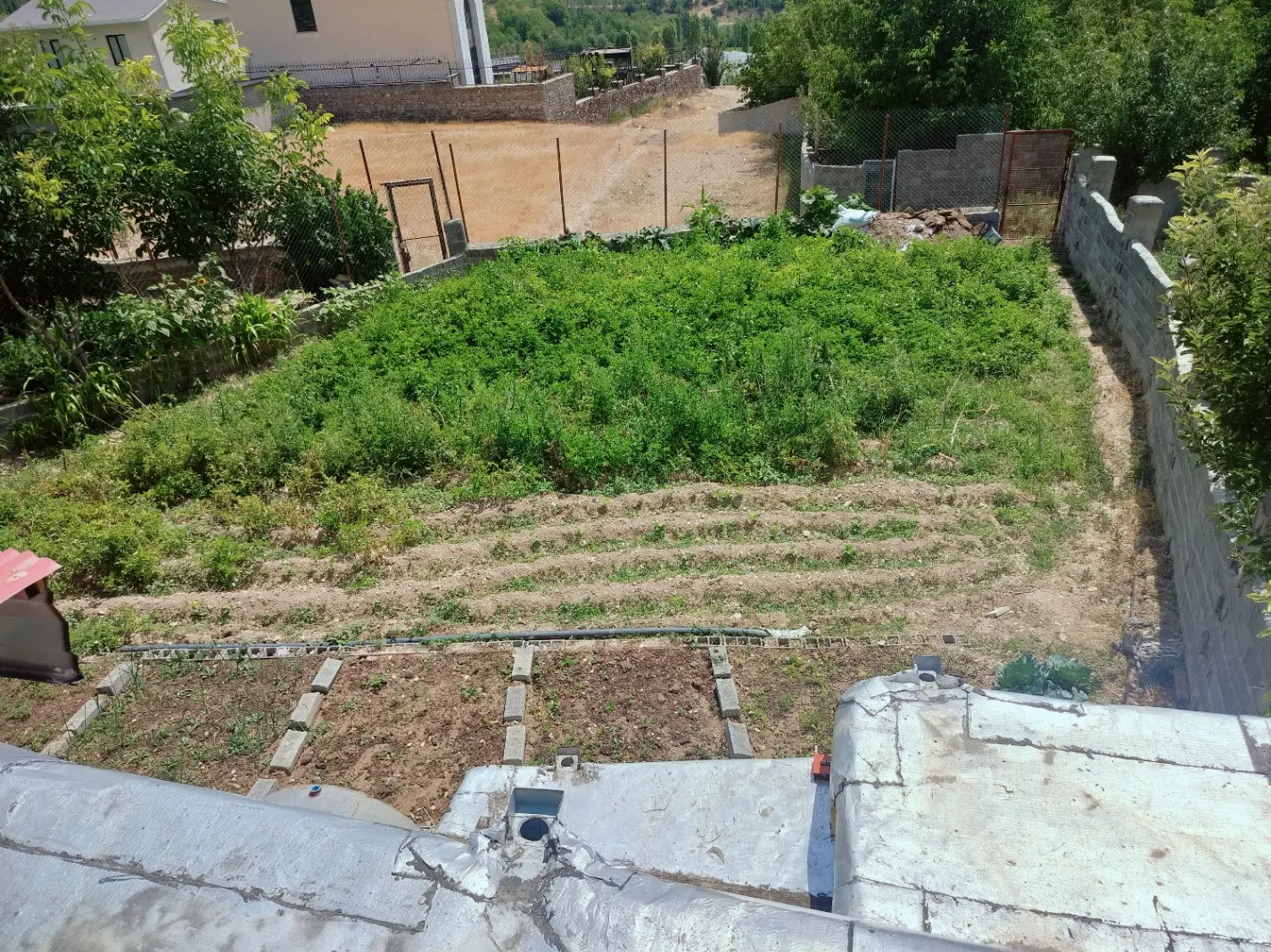 فروش زمین در تنگه واشی