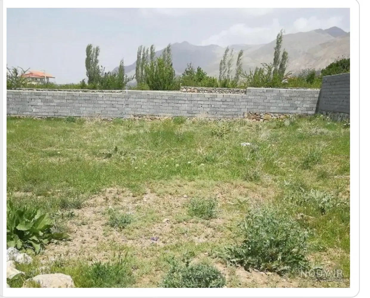 زمین