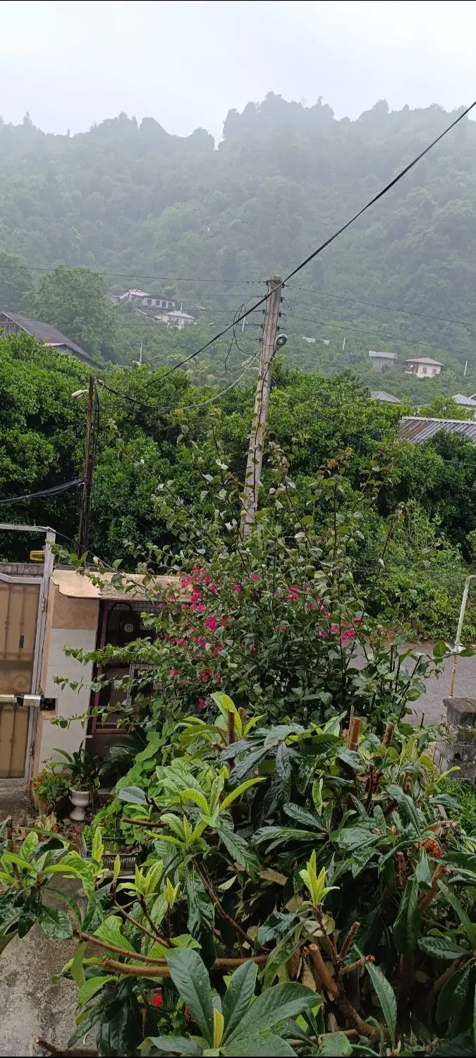 ۲۳۰متر کلنگی قابل سکونت و ساخت