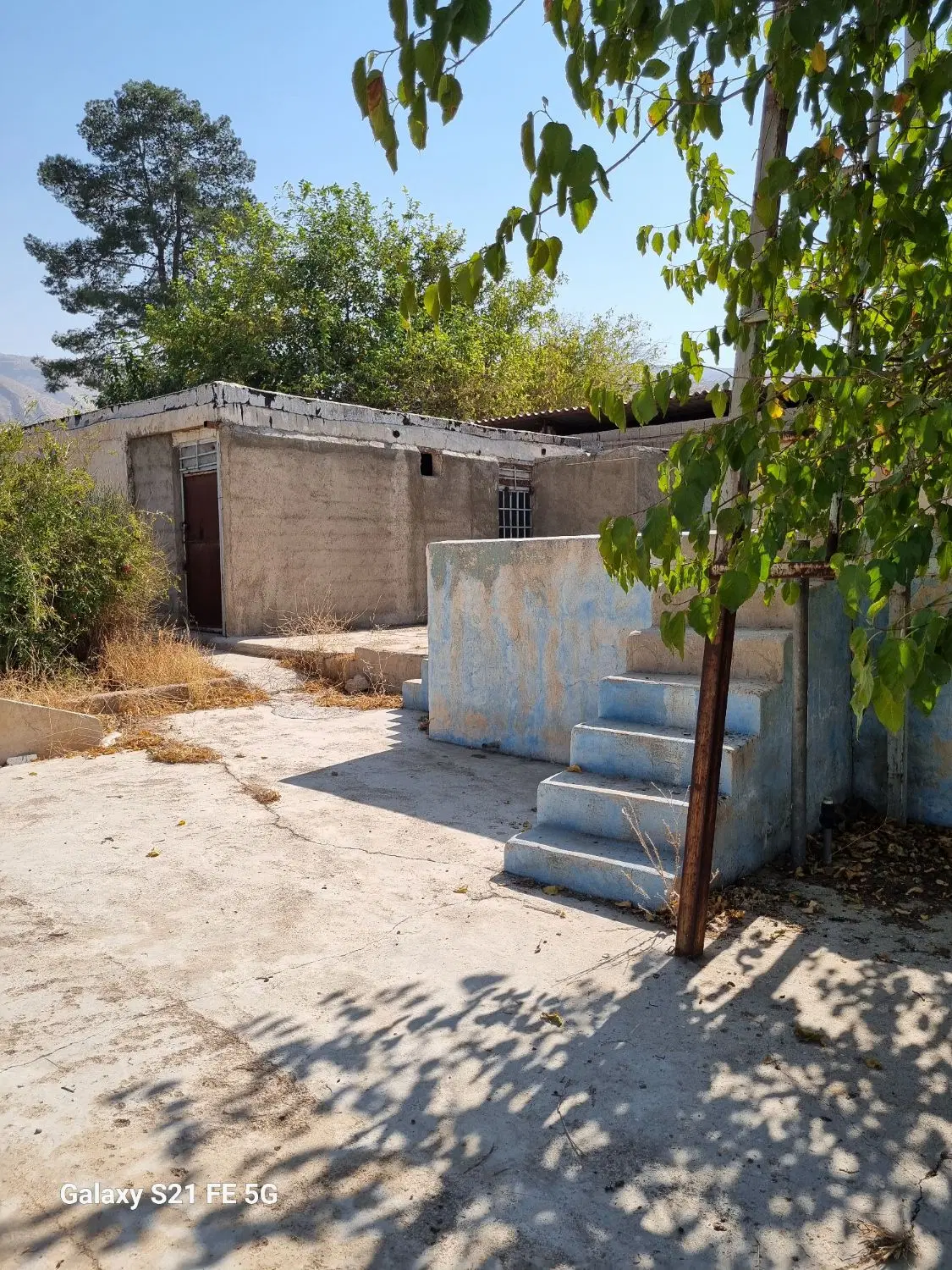 اجاره باغ بیدزرد