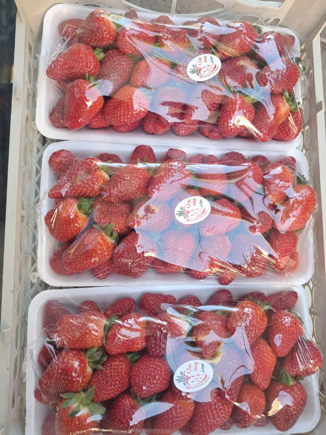 واگذاری مغازه میوه