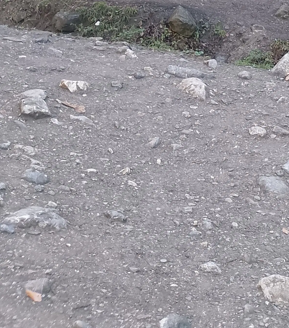 زمین لخشک