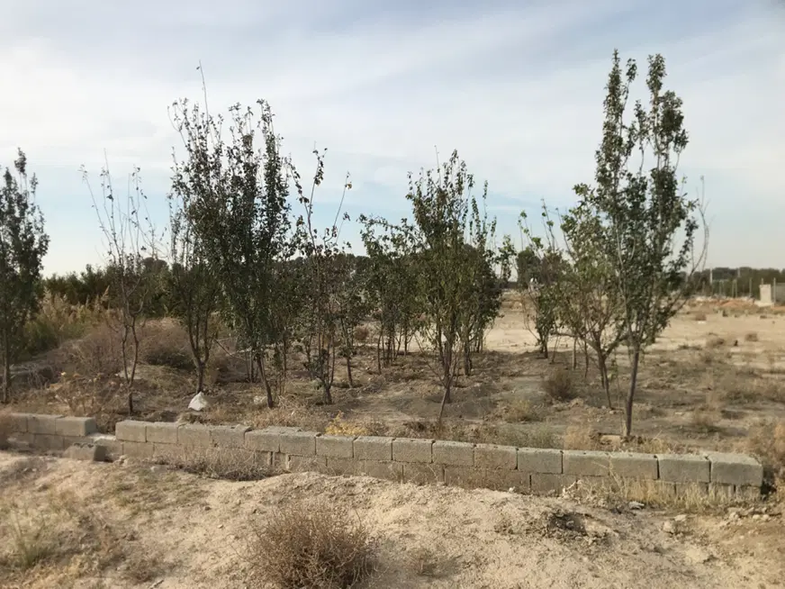 زمین باغ.۱۰۰۰متر.شهریار کردزار