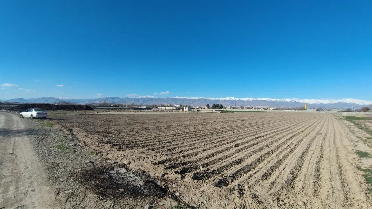 زمین کشاورزی نوکند
