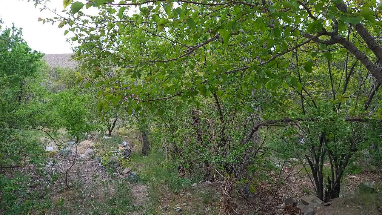 باغ در روستای کوهستانی ون