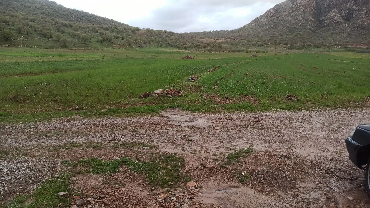 زمین باغ ارتش