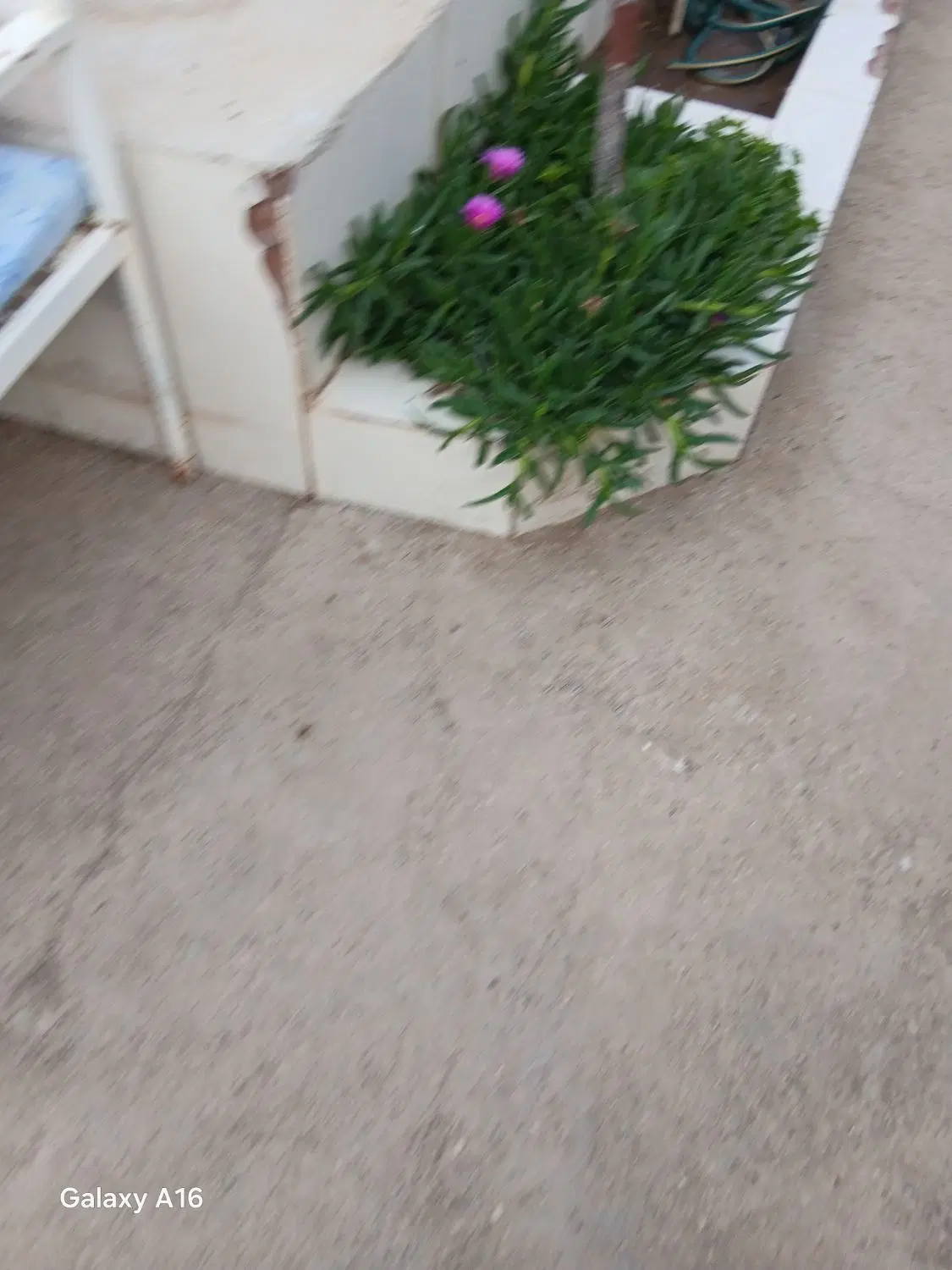 زمین فروشی
