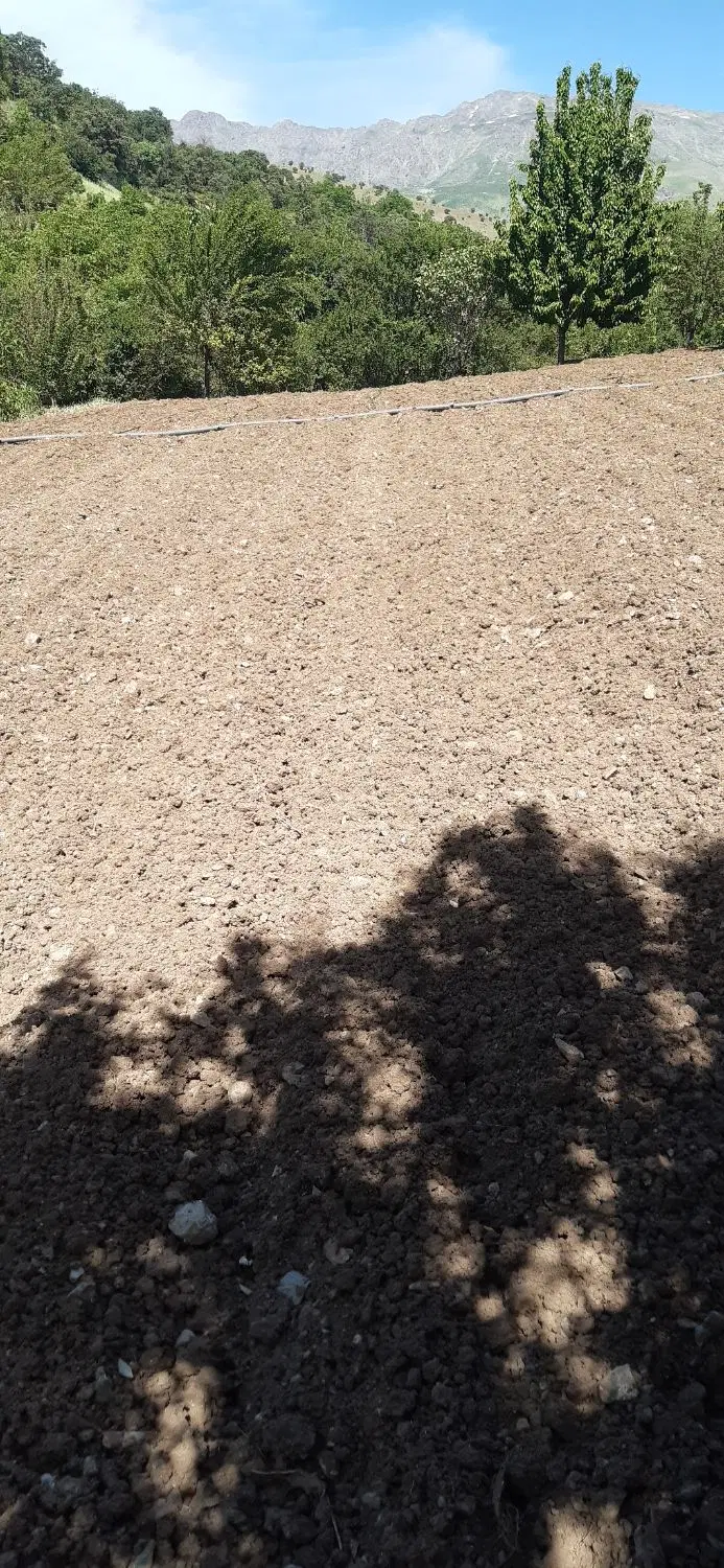 فروش زمین کشاورزی آبی وباغ