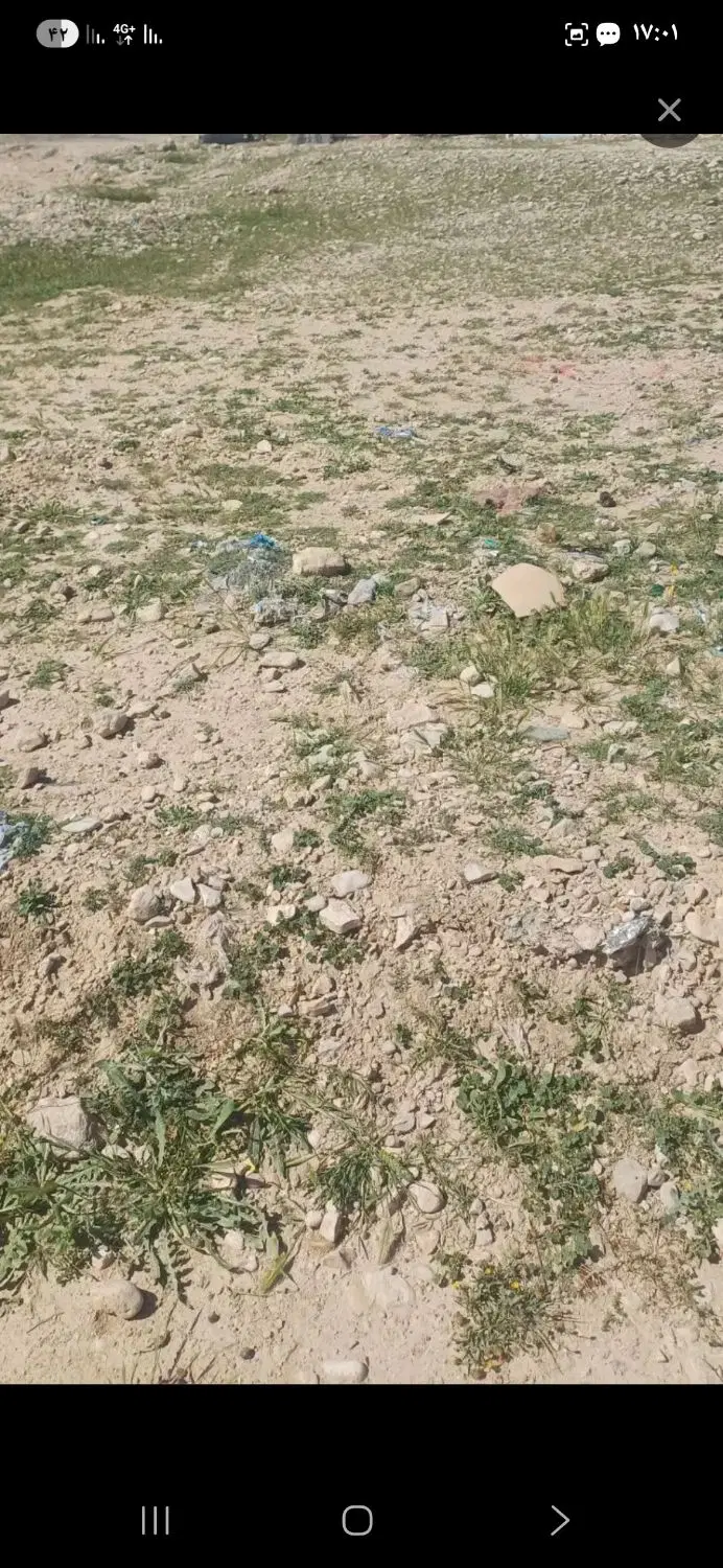 زمین مسکونی