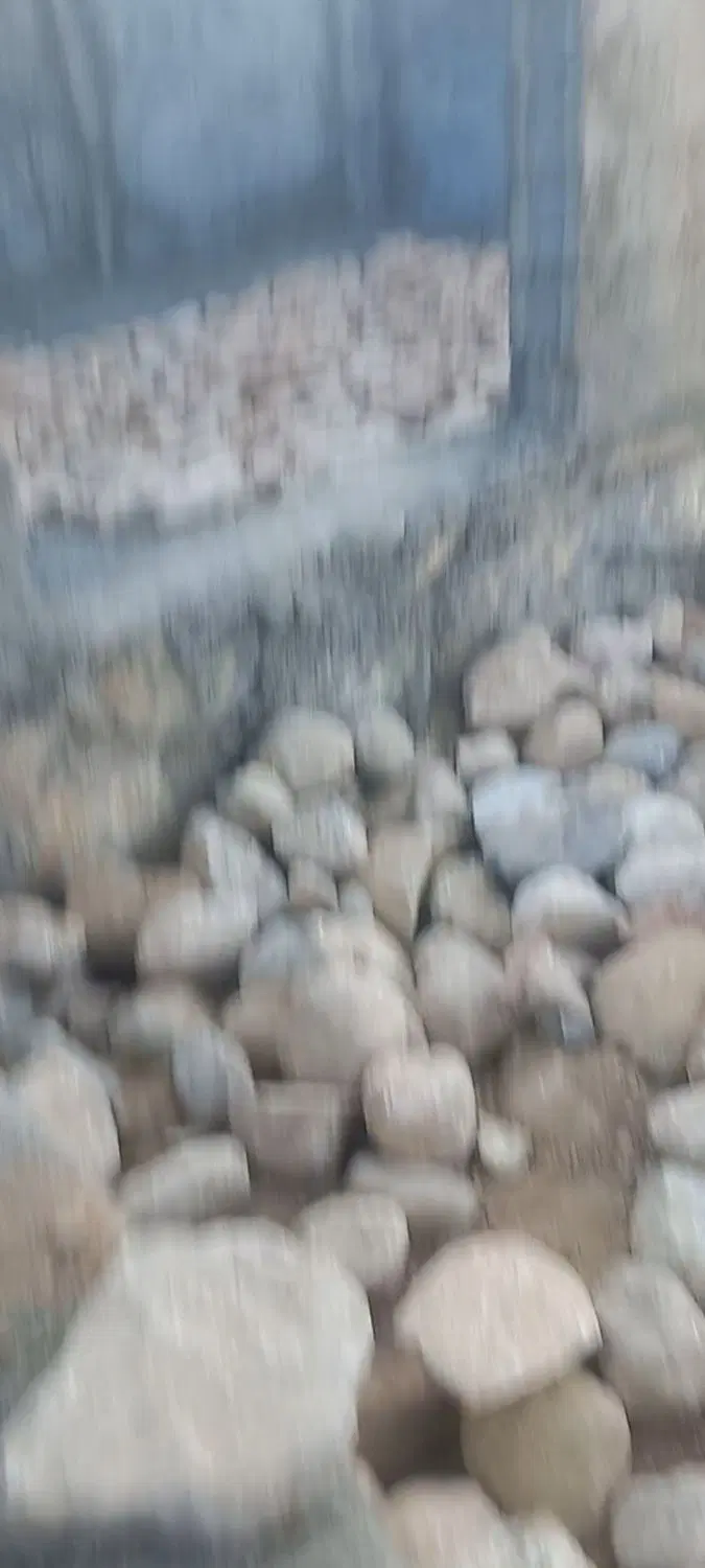 باغ فروشی ..