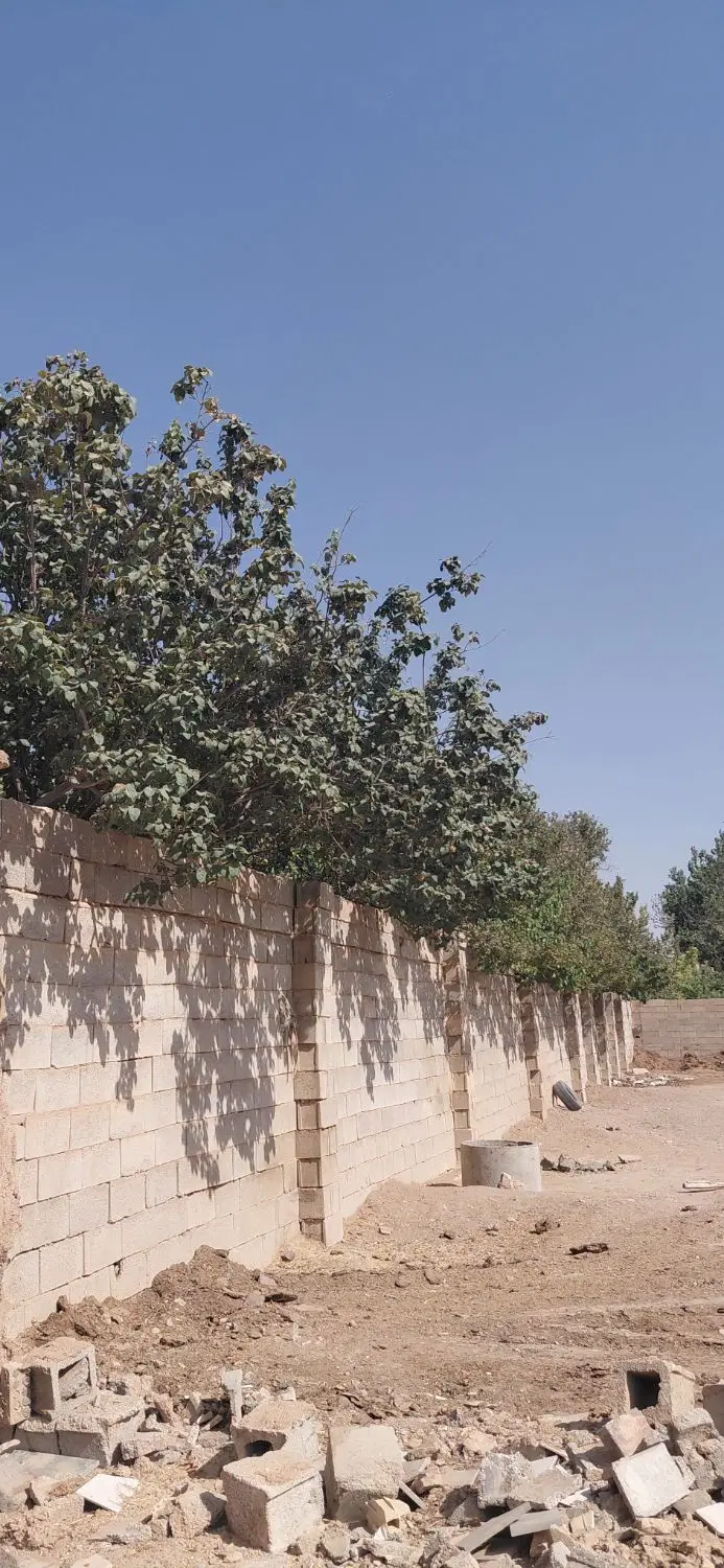 اجاره زمین