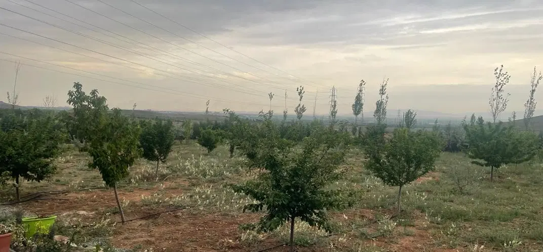کردان کوهسار زمین مجوز دار داخل بافت ویلایی