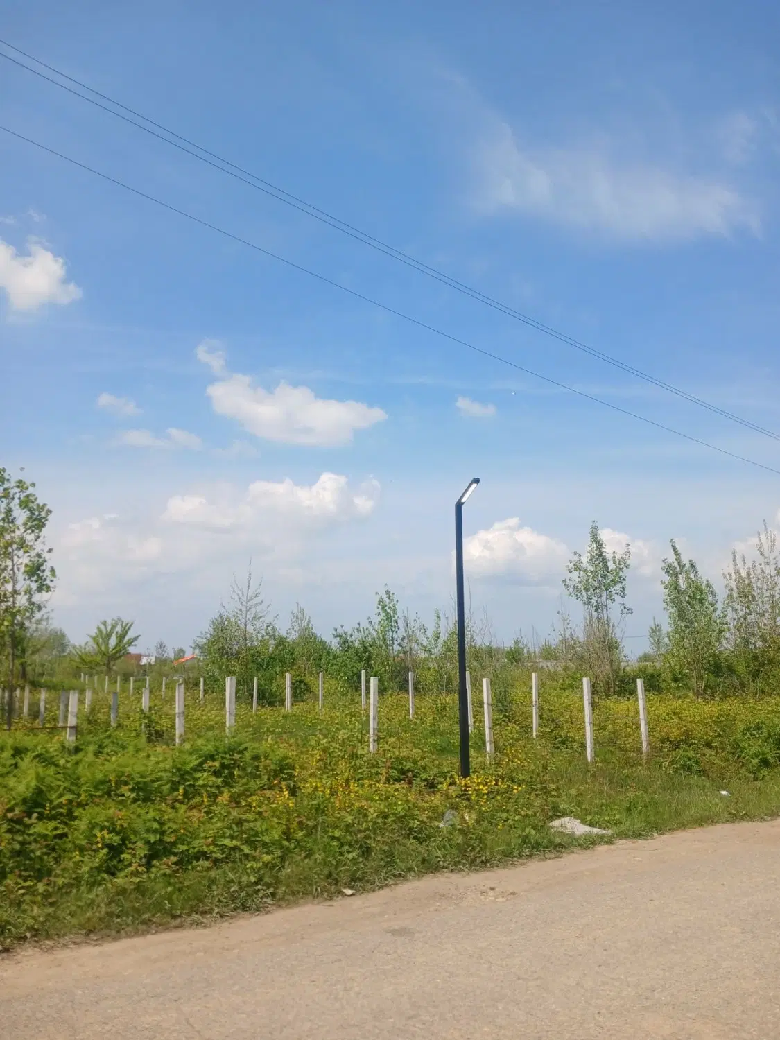 زمین باغی