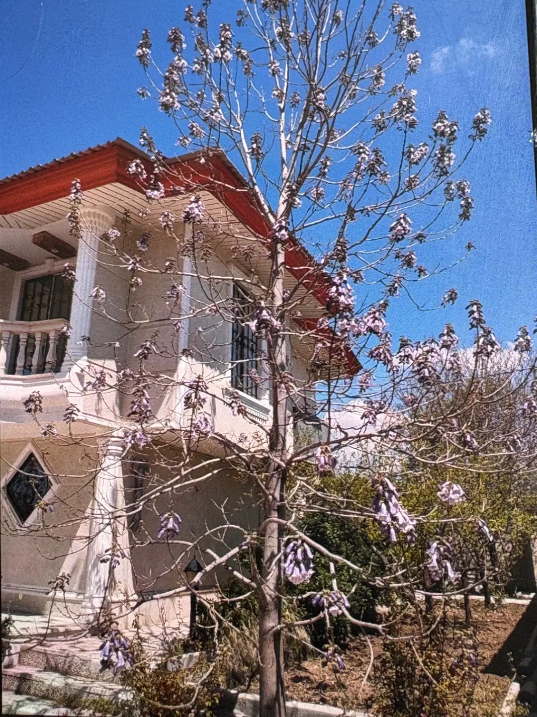 الهیه تک خواب بلوک Fروبه دادگستری(مسکن آرش)