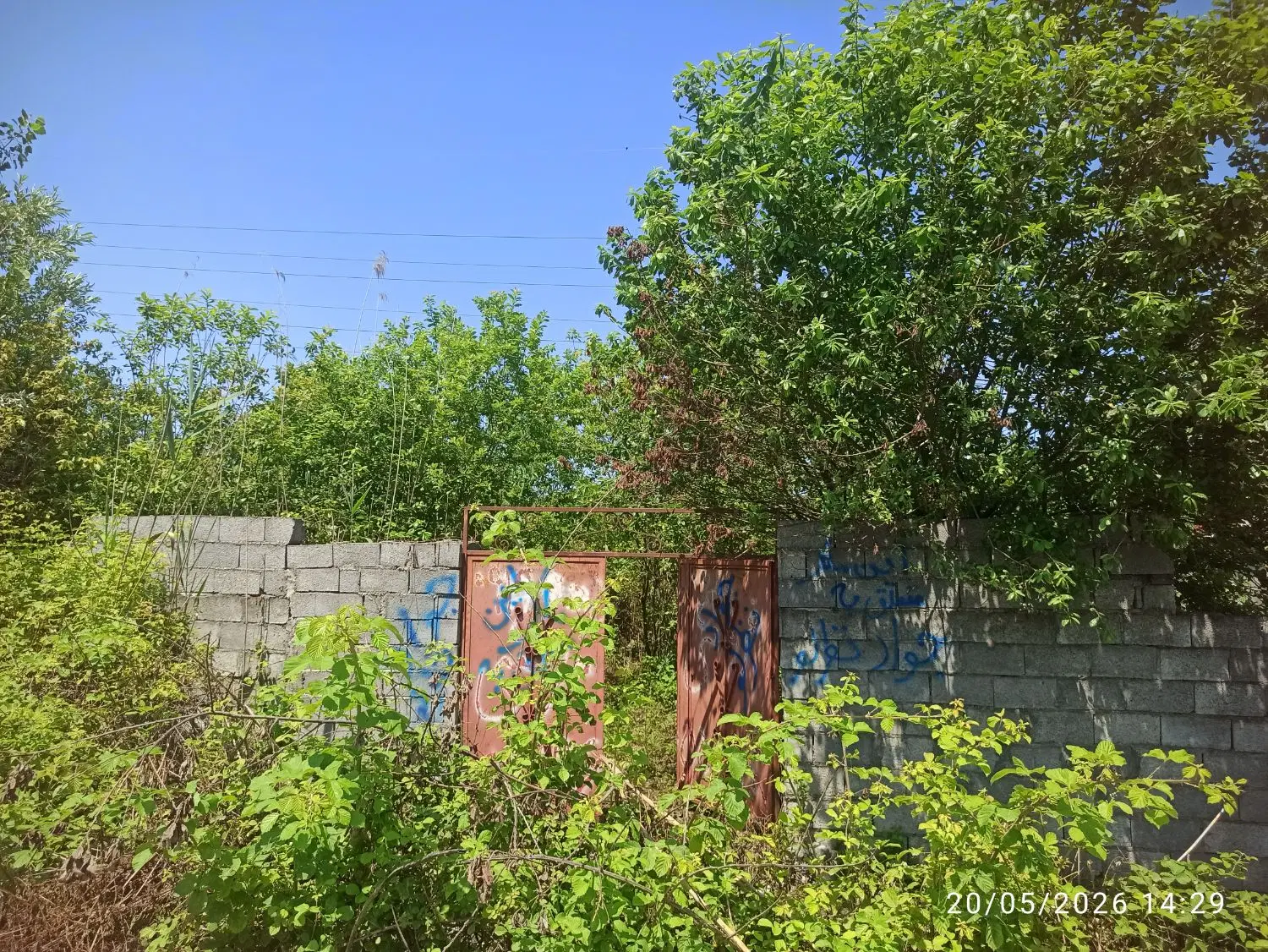 (املاک بارانی)زمین۲۰۷متری پیل علی باغ