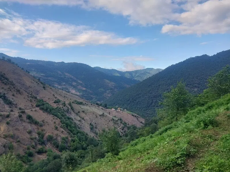 ۲۶۹ متر زمین‌ قابل ساخت ییلاق روشنده با ویو ابدی
