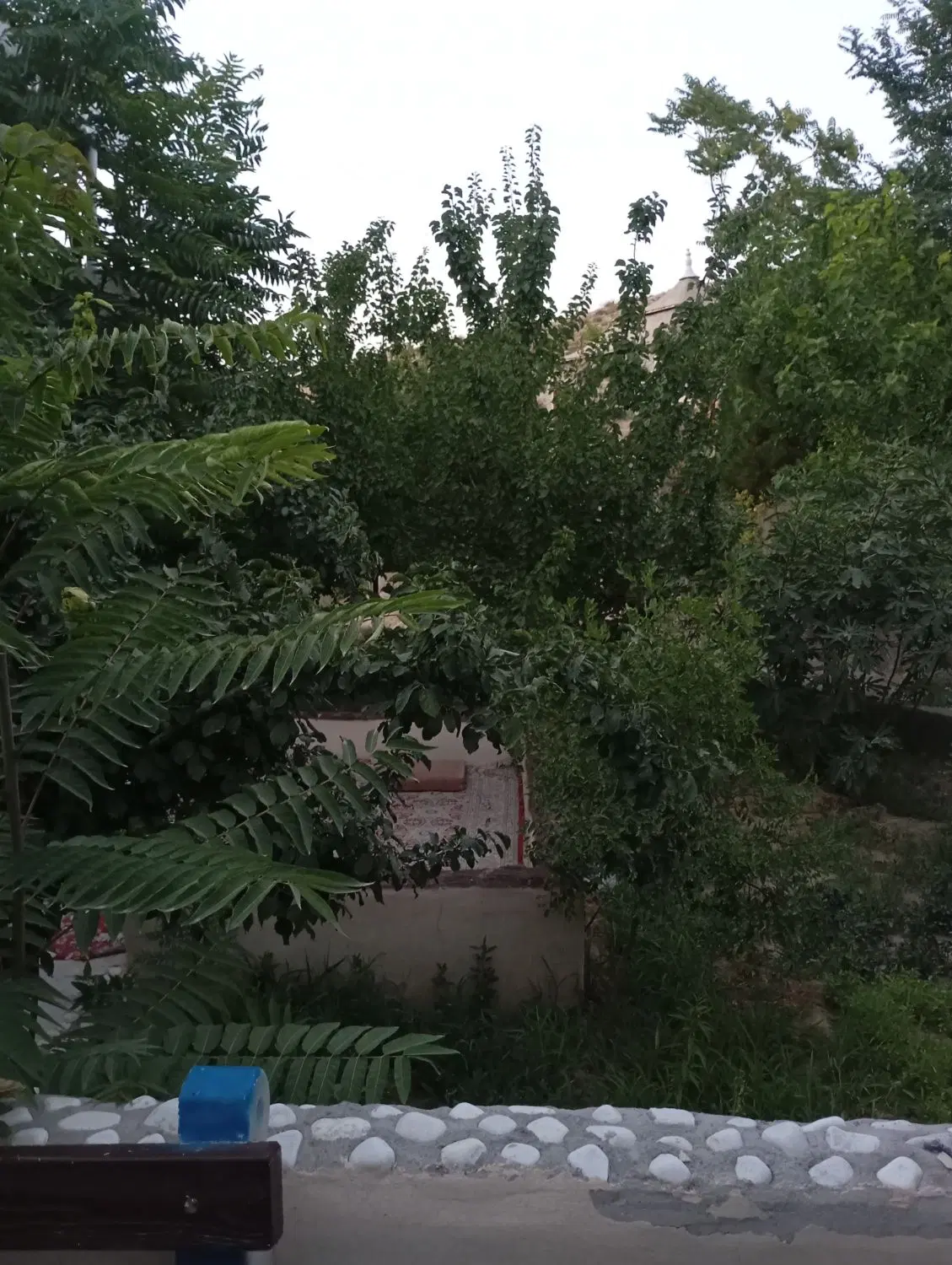 زمین مسکونی