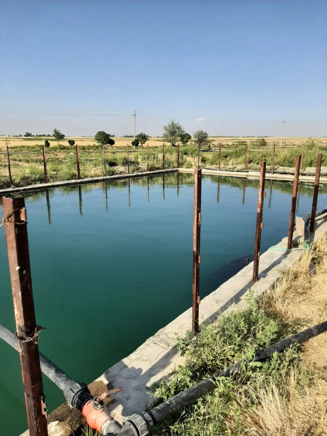 فروش زمین نظرآباد