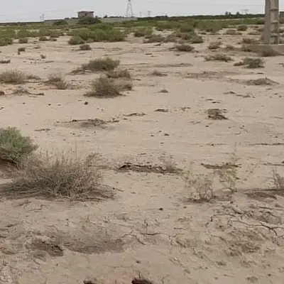 فروش زمین کشاورزی سلیمانیه