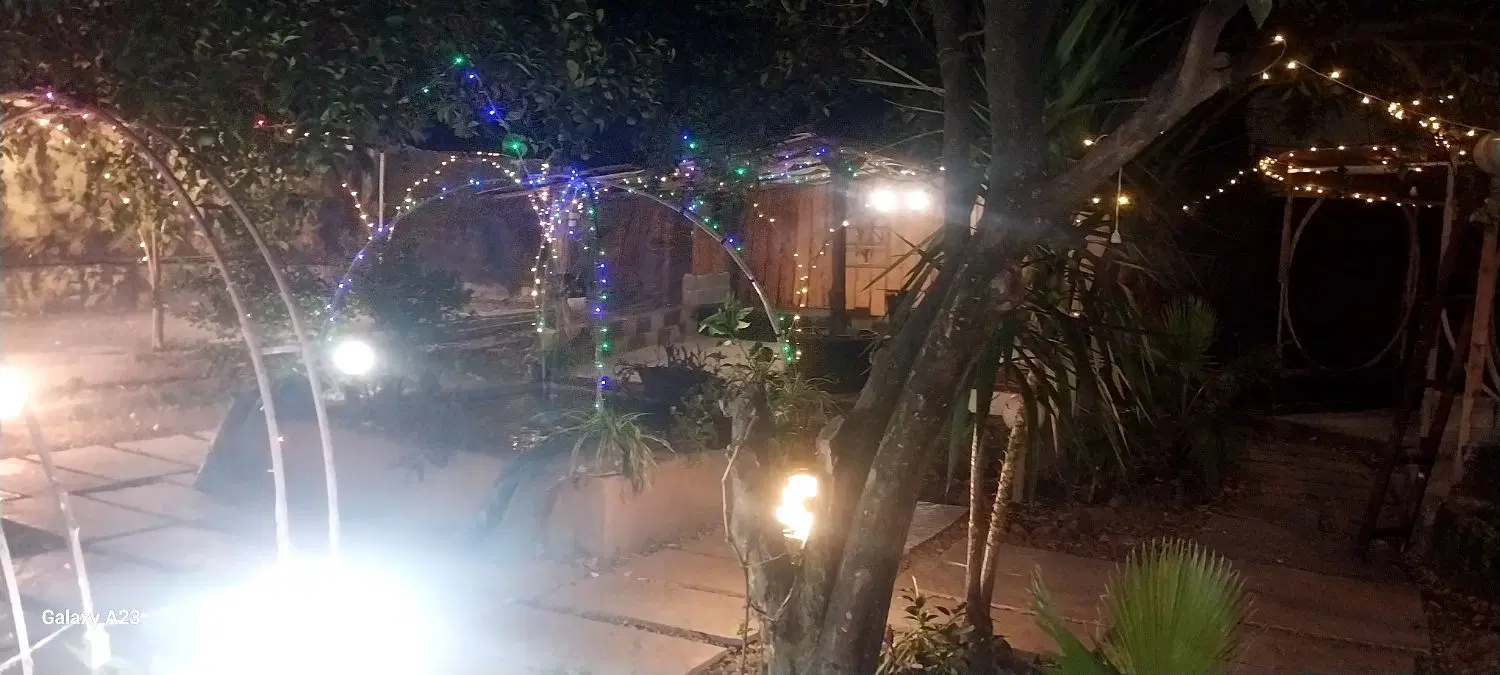 رهن و اجاره کافه