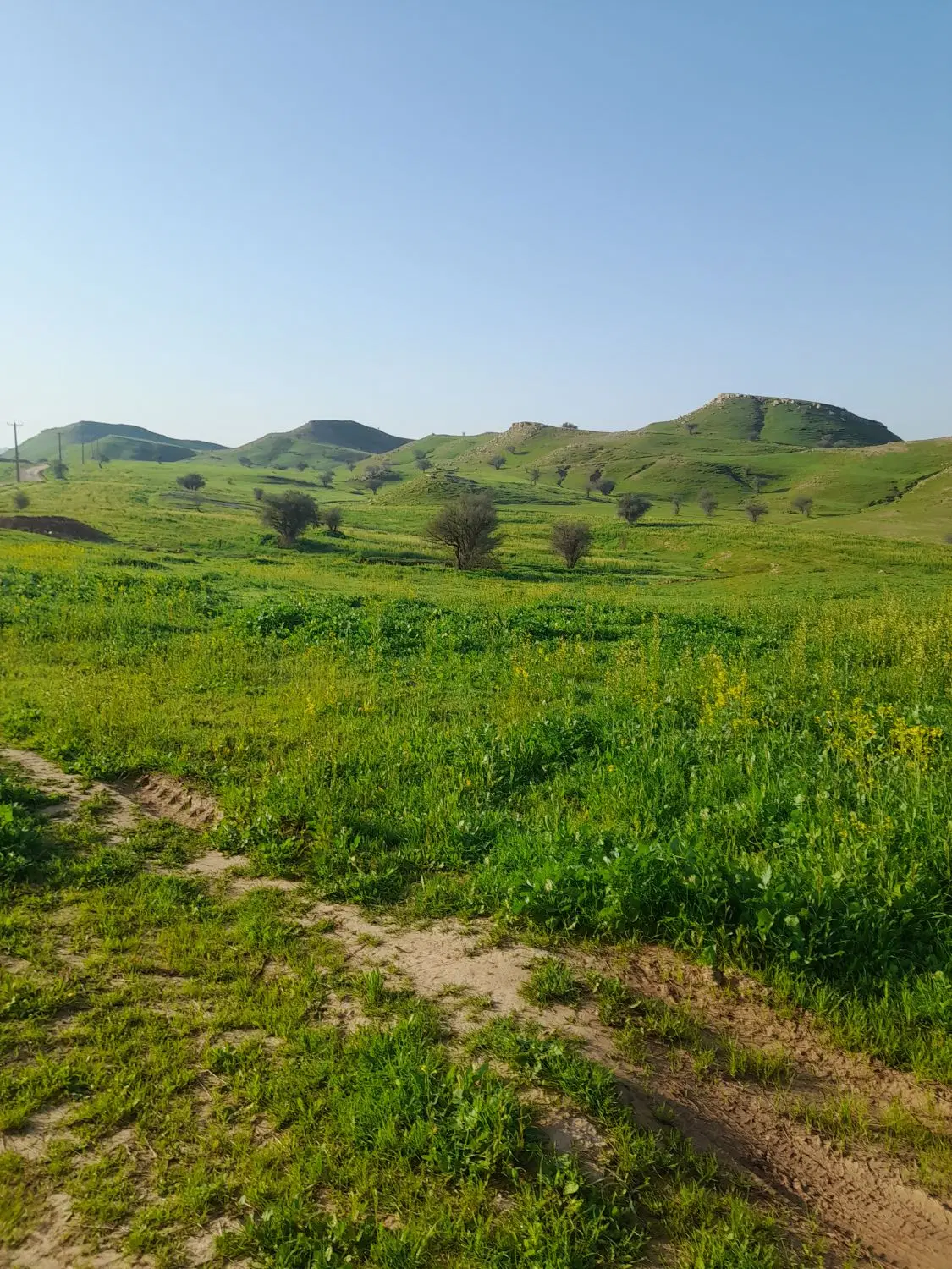 سلام ۲۰۰مترزمین برافروش