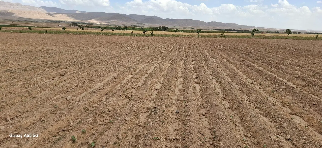10 هکتار زمین ملکی به همراه چاه اب