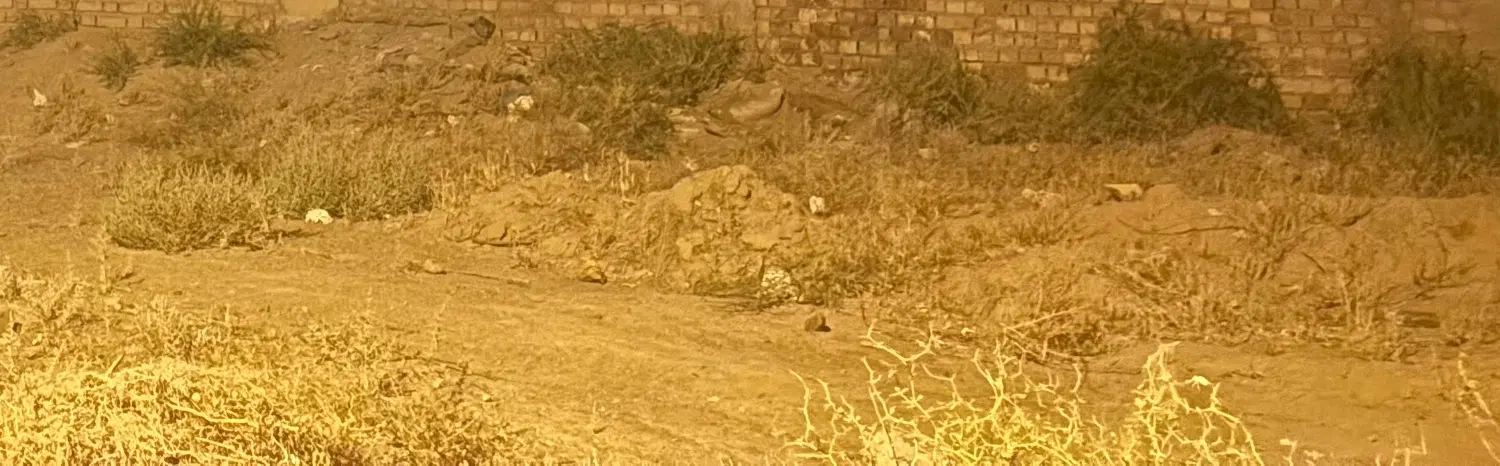 زمین مسکونی