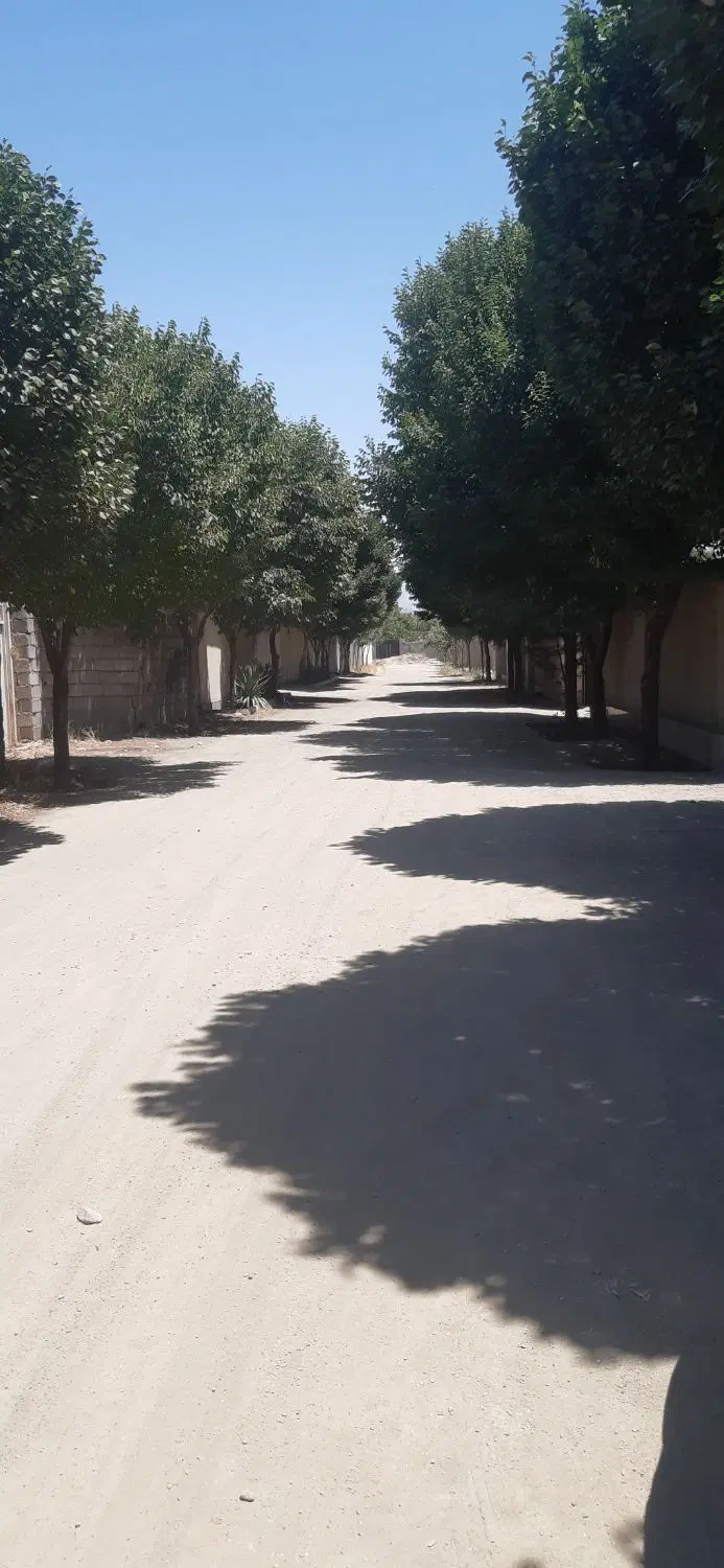 زمین چهاردیواری چهارباغ