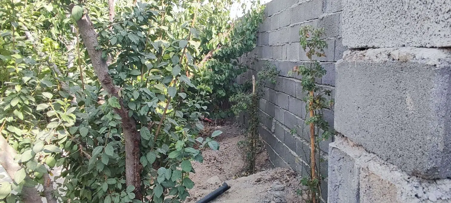 فروش باغچه در دهشاد