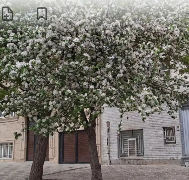 اجاره خانه