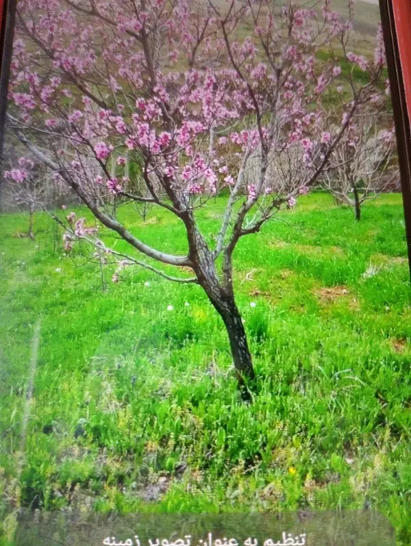 فروش خانه باغ  در هیجانان