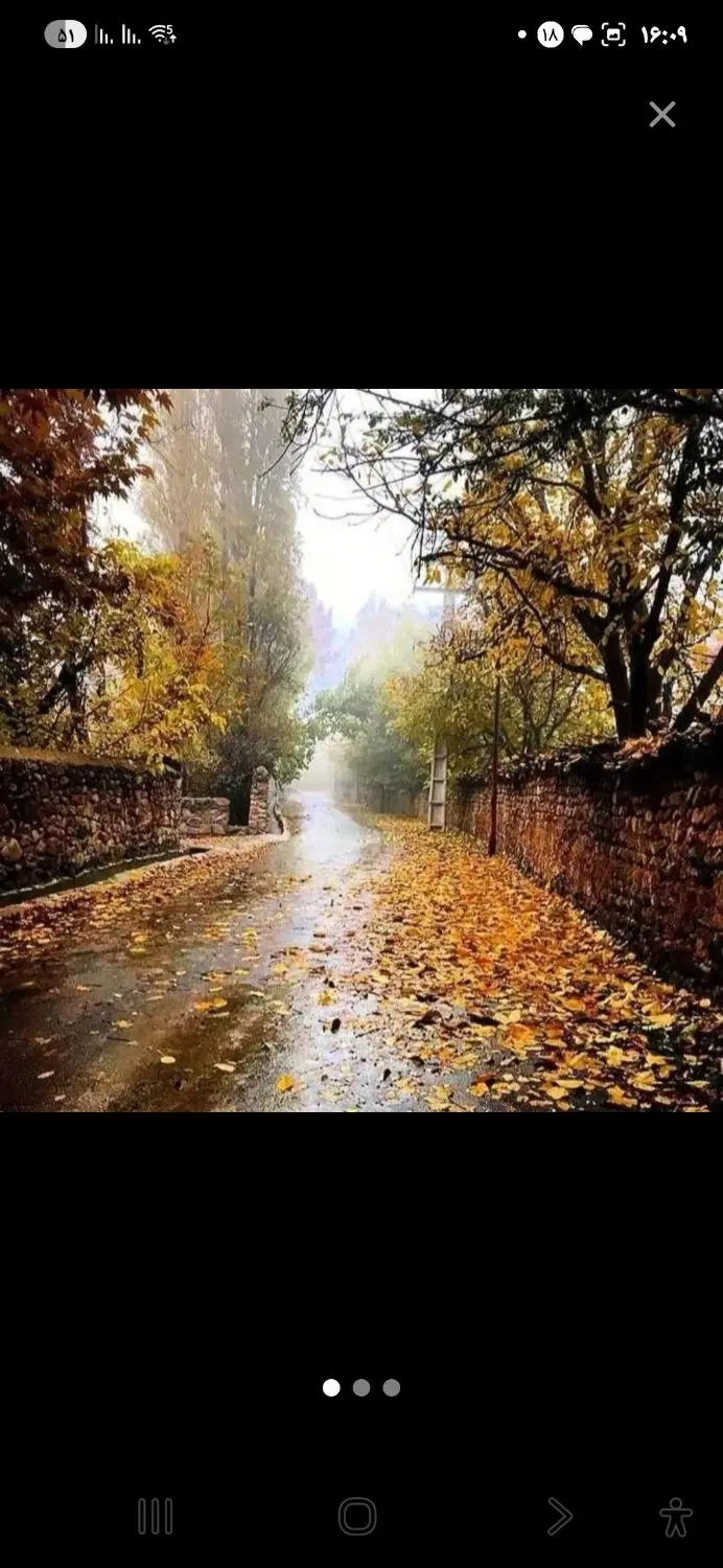 زمین